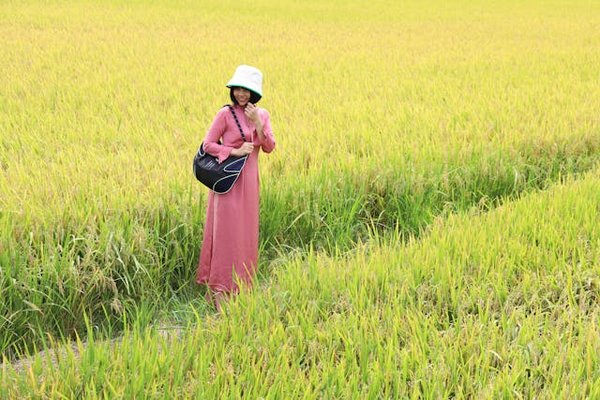 Comment organiser une visite des plantations de vanille à la Réunion?